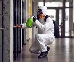 Why You Should Choose Our Mold Remediation Services in Coalville, UT